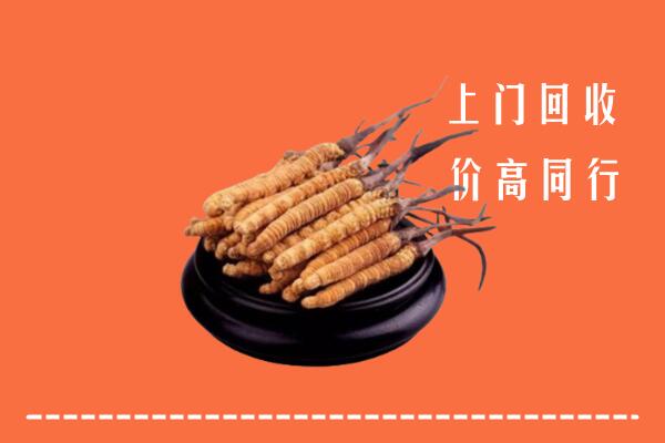 平潭县回收散虫草