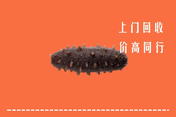 高价求购：平潭县回收海参